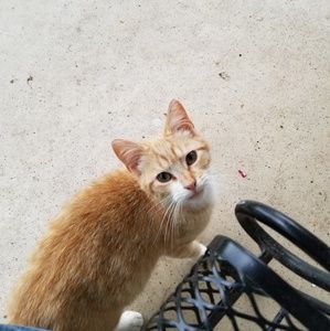 Meet your Posher, Yumi